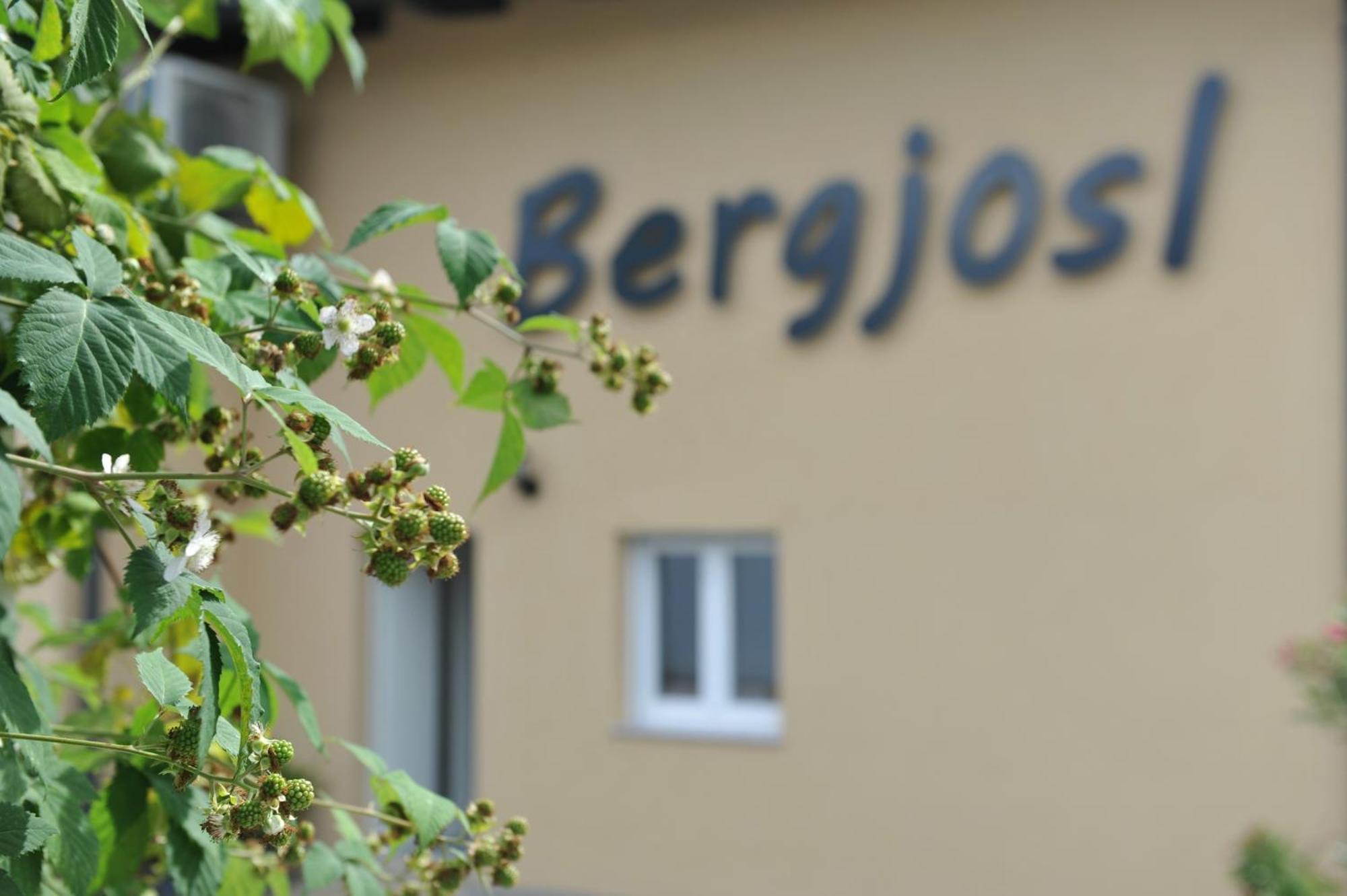 Ferienwohnung Beim Bergjosl Kirchbach in Steiermark Exterior foto